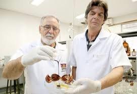 Pesquisador do CNPq e mecânico lançam pomada à base de urucum em MG