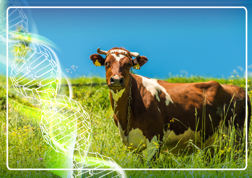 INCT de Microrganismos para a Agricultura lança tecnologia que incrementa a agropecuária sustentável