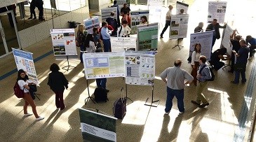 CNPq e MCTIC investem em sustentabilidade de biomas brasileiros