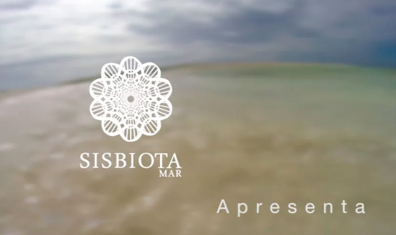 SISBIOTA-Mar: Um mergulho nos recifes brasileiros