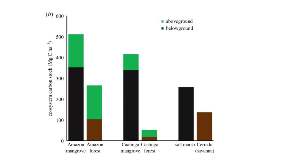 Grafico com comparação de estoques de carbono aéreo e subaéreo