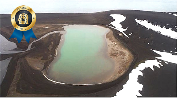 Publicação inédita aborda fungos exclusivamente antárticos